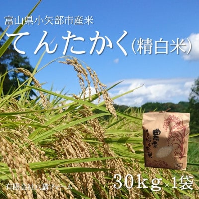 【2025年9月上旬頃から順次発送】令和7年産米「てんたかく」(精米)30kg×1袋
