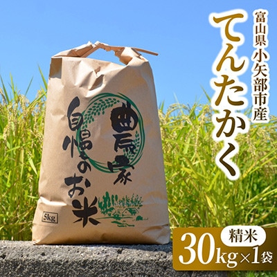 【2026年9月下旬頃から順次発送】令和8年産米「てんたかく」(精米)30kg×1袋