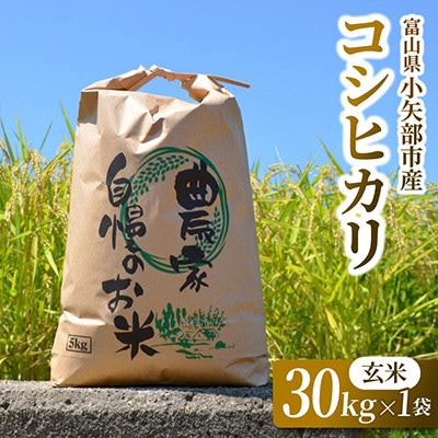 【新米先行受付 2026年10月上旬～順次発送】令和8年富山県産「コシヒカリ」(玄米)30kg×1袋