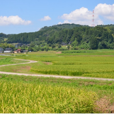 【新米先行受付 2026年10月上旬～順次発送】令和8年富山県産「コシヒカリ」(玄米)30kg×1袋