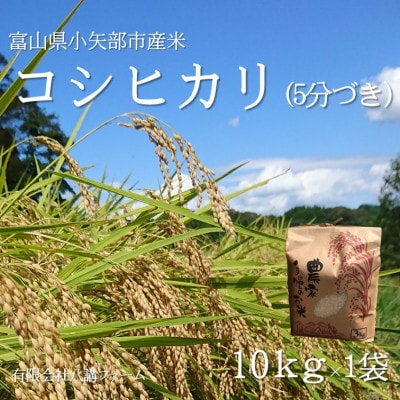 【新米先行受付 25年10月上旬～順次発送】令和7年富山県産「コシヒカリ」(5分づき)10kg×1袋