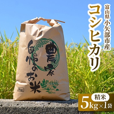 【新米先行受付 2026年10月上旬～順次発送】令和8年富山県産「コシヒカリ」(精米)5kg×1袋