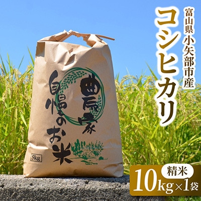 【新米先行受付 2026年10月上旬～順次発送】令和8年富山県産「コシヒカリ」(精米)10kg×1袋