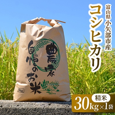 【新米先行受付 2026年10月上旬～順次発送】令和8年富山県産「コシヒカリ」(精米)30kg×1袋