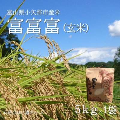 【新米先行受付 (2025年10月上旬から順次発送)】令和7年富山県産「富富富」(玄米)5kg×1袋