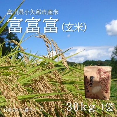 【新米先行受付(2025年10月上旬から順次発送)】令和7年富山県産「富富富」(玄米)30kg×1袋