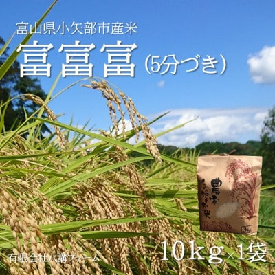 【新米先行受付 2025年10月上旬～順次発送】令和7年富山県産「富富富」(5分づき)10kg×1袋