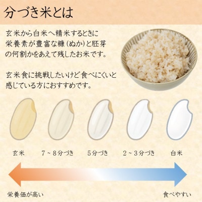 【新米先行受付 2025年10月上旬～順次発送】令和7年富山県産「富富富」(5分づき)30kg×1袋