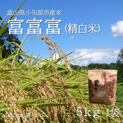 【新米先行受付(2025年10月上旬から順次発送)】令和7年富山県産「富富富」(精米)5kg×1袋