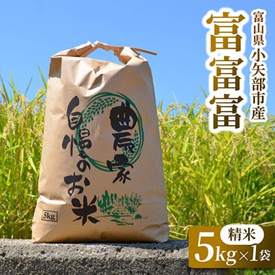 【新米先行受付(2026年10月上旬から順次発送)】令和8年富山県産「富富富」(精米)5kg×1袋