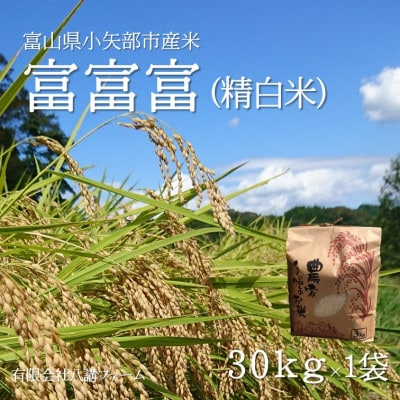 【新米先行受付(2025年10月上旬から順次発送)】令和7年富山県産「富富富」(精米)30kg×1袋