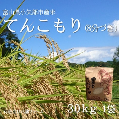 【新米先行受付 2025年11月上旬～順次発送】令和7年産米「てんこもり」(8分づき)30kg×1袋