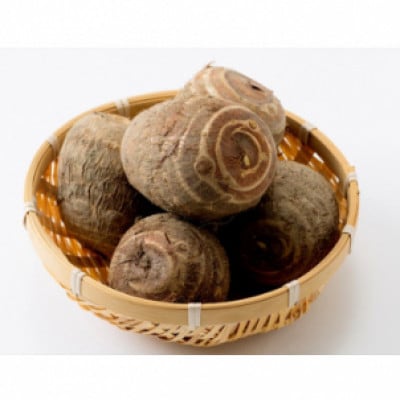 里芋「縄文の里芋」5kg