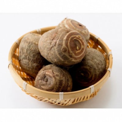 里芋「縄文の里芋」10kg