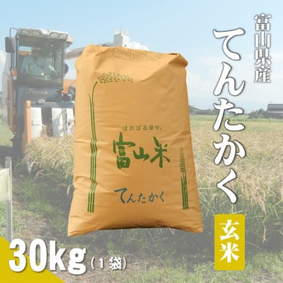令和7年産「てんたかく」玄米30kg×1袋
