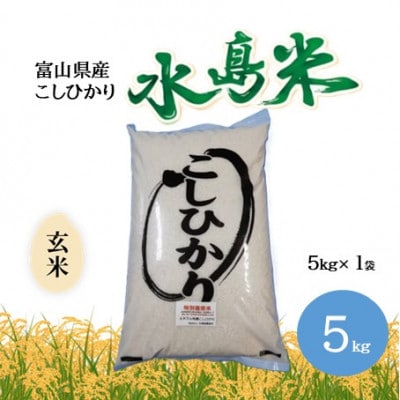 栽培期間中農薬・化学肥料不使用　こしひかり　玄米 5kg×1袋(5kg)