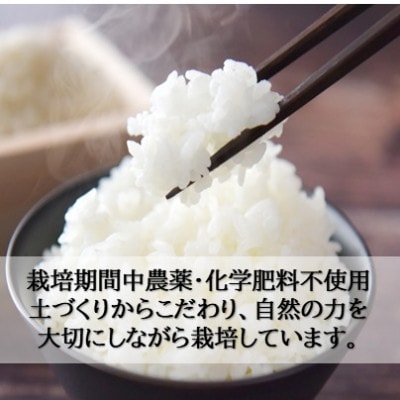 栽培期間中農薬・化学肥料不使用　こしひかり　玄米 5kg×1袋(5kg)