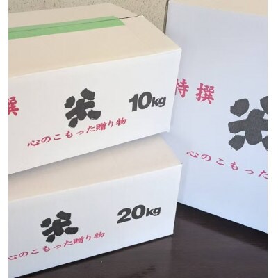 栽培期間中農薬・化学肥料不使用　こしひかり　玄米 5kg×2袋(10kg)