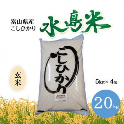 栽培期間中農薬・化学肥料不使用　こしひかり　玄米 5kg×4袋(20kg)