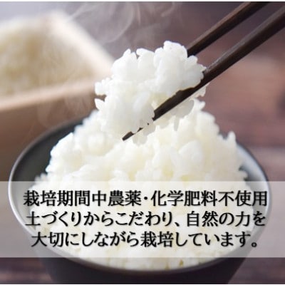 栽培期間中農薬・化学肥料不使用　こしひかり　玄米 5kg×4袋(20kg)
