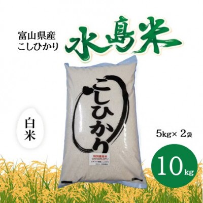 栽培期間中農薬・化学肥料不使用　こしひかり　白米 5kg×2袋(10kg)