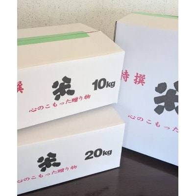 栽培期間中農薬・化学肥料不使用　こしひかり　白米 5kg×2袋(10kg)