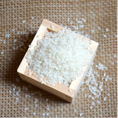 栽培期間中農薬・化学肥料不使用　こしひかり　白米 5kg×2袋(10kg)