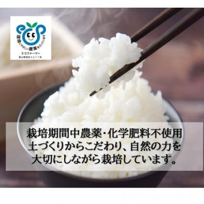 栽培期間中農薬・化学肥料不使用 こしひかり　白米 5kg×6袋(30kg)
