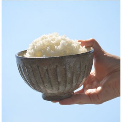 栽培期間中農薬・化学肥料不使用 こしひかり　白米 5kg×6袋(30kg)