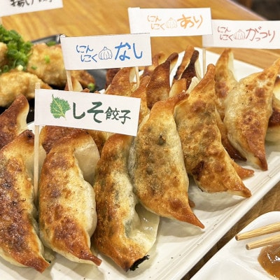 餃子屋ヒロの4種食べ比べ&タレ2種セット
