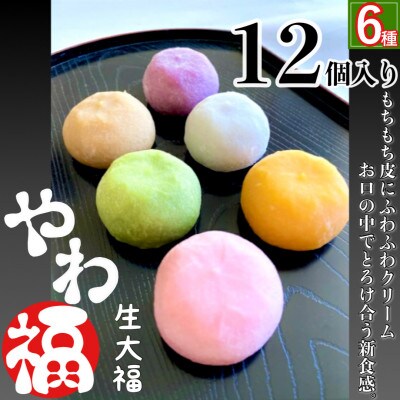 生大福 <やわ福> 12個詰め合わせ(6種×各2個)【01037】