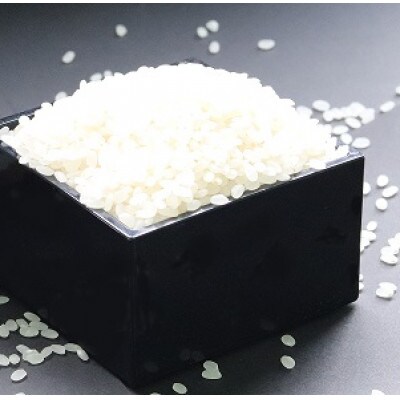 新世代「天のつぶ」10kg×1袋 精米