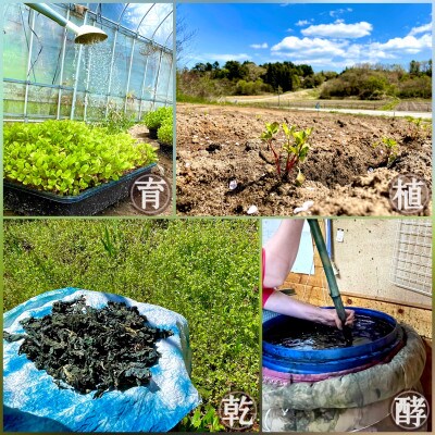 ~藍(愛)ある街の~藍染コットンマスク&ハンカチ