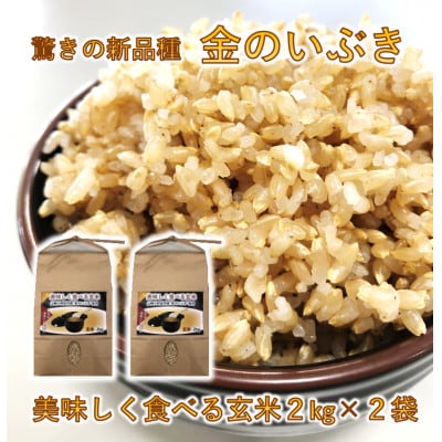 山陽小野田市産 美味しく食べる玄米2kg×2袋