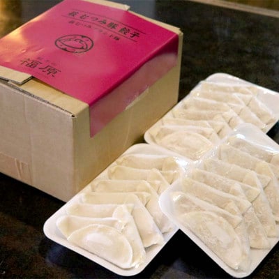 【ご自宅用】萩むつみ豚餃子(36個)※特製みそダレ付
