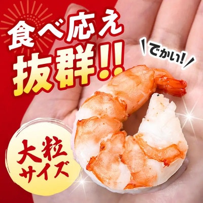 ブラックタイガーむきえび　500g×2袋