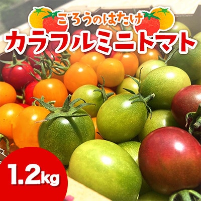 ごろうのはたけ カラフルミニトマト 1.2kg
