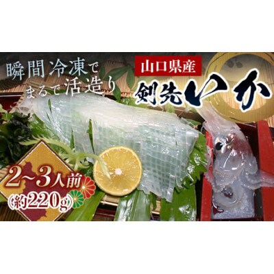 天然 剣先イカ 2～3人前程度