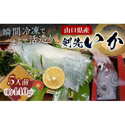天然 剣先イカ 5人前程度