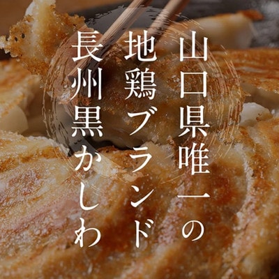 長州黒かしわ餃子 72個入り