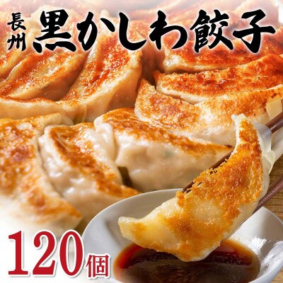 長州黒かしわ餃子 120個入り