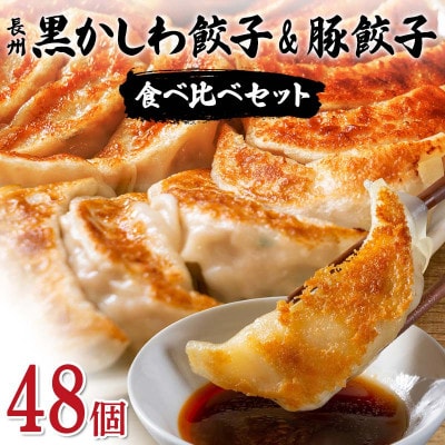 長州黒かしわ餃子&豚餃子 食べ比べセット 48個入り