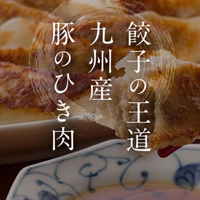 長州黒かしわ餃子&豚餃子 食べ比べセット 48個入り
