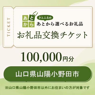 山口県山陽小野田市　お礼品交換チケット　100,000円分