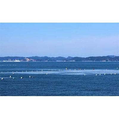 【訳あり】味のりミックス 240g(3パック)F6L-1165