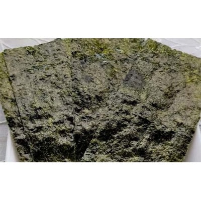 磯の香 (味付けのり) 480枚(8パック)10切りサイズ プラボトル入り　F6L-1161