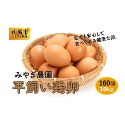 平飼い鶏卵10kg