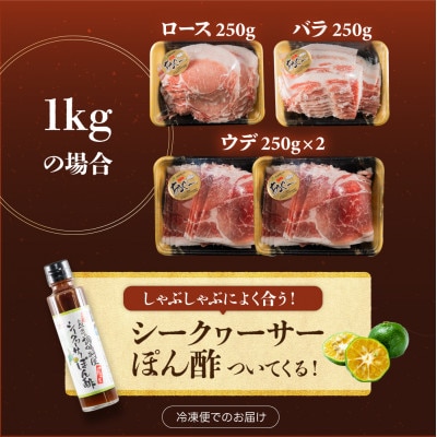 総重量1kg 沖縄県産あぐーしゃぶしゃぶ食べ比べセット・シークヮーサーポン酢付き
