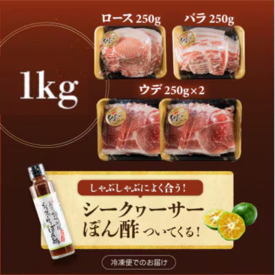 総重量1kg 沖縄県産あぐーしゃぶしゃぶ食べ比べセット・シークヮーサーポン酢付き