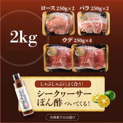 総重量2kg 沖縄県産あぐーしゃぶしゃぶ食べ比べセット・シークヮーサーポン酢付き。